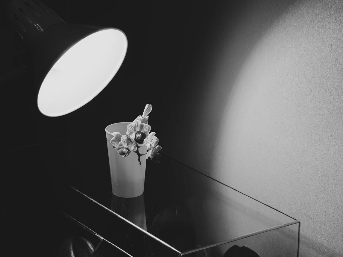 Aster Studio
